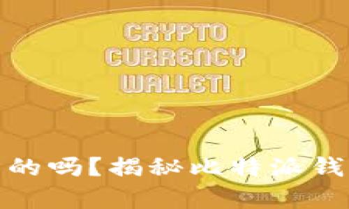 比特派钱包丢币是真的吗?揭秘比特派钱包安全性与用户体验