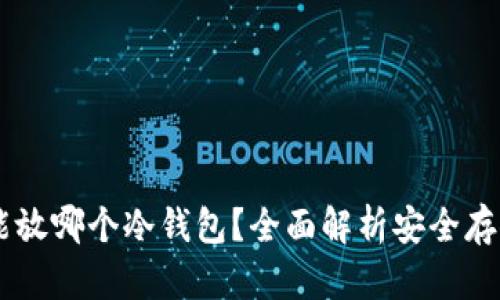 SHIB能放哪个冷钱包?全面解析安全存储选项