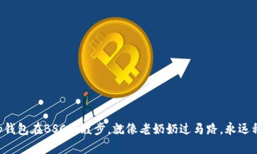 “当你的tp钱包在BSC上踱步,就像老奶奶过马路,永远稍慢一步!”