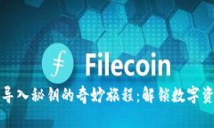 比特币钱包导入秘钥的奇妙旅程：解锁