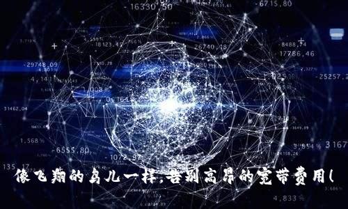 像飞翔的鸟儿一样,告别高昂的宽带费用!