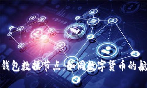比特币钱包数据节点:如同数字货币的航海灯塔
