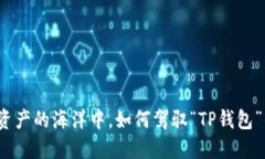 在数字资产的海洋中，如何驾驭“TP钱