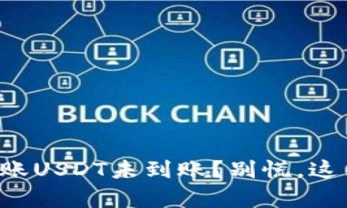 比特派钱包转账USDT未到账?别慌,这里有解决方案!
