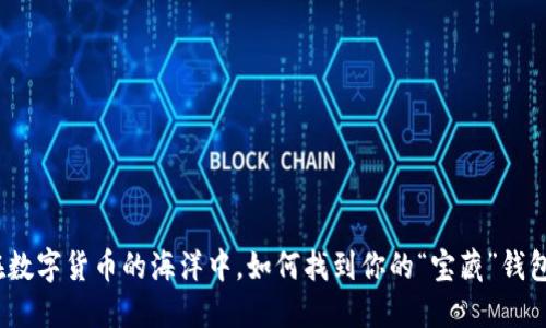 在数字货币的海洋中，如何找到你的“宝藏”钱包？
