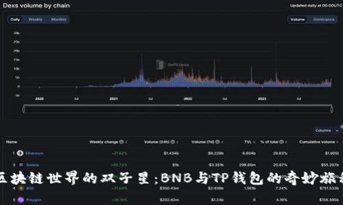 区块链世界的双子星：BNB与TP钱包的奇妙旅程