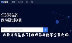 比特币钱包丢了？找回你的数字宝藏之