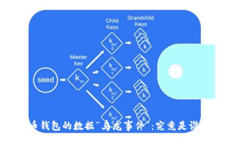 比特币钱包的数据“乌龙事件”:究竟是谁在捣乱?