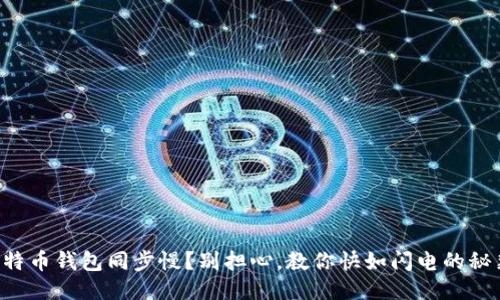 比特币钱包同步慢?别担心,教你快如闪电的秘籍!