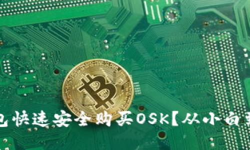 如何通过TP钱包快速安全购买OSK?从小白到高手的全攻略
