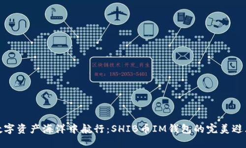 在数字资产海洋中航行：SHIB币IM钱包的完美避风港