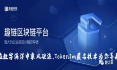 在数字海洋中乘风破浪，TokenIm匿名技