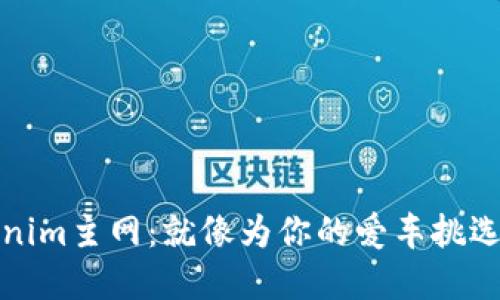如何选择Tokenim主网：就像为你的爱车挑选最优质的燃料