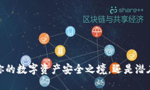 比特币钱包:你的数字资产安全之境,还是潜在的风险迷雾?