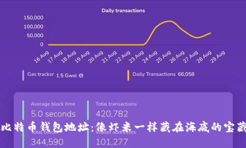 比特币钱包地址：像虾米一样藏在海底的宝藏