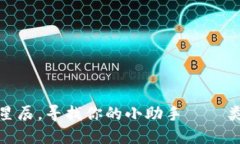 riaoti类比加密货币的星辰，寻找你的小
