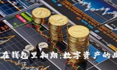 让SHIB币在钱包里翱翔：数字资产的幽
