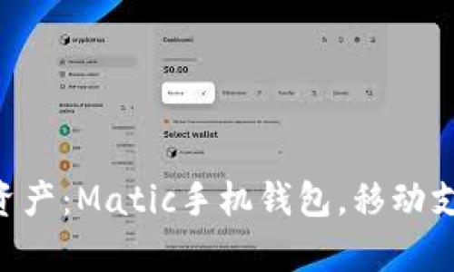 解锁你的数字资产:Matic手机钱包,移动支付的“魔法箱”!