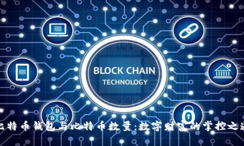 比特币钱包与比特币数量：数字财富的掌控之道