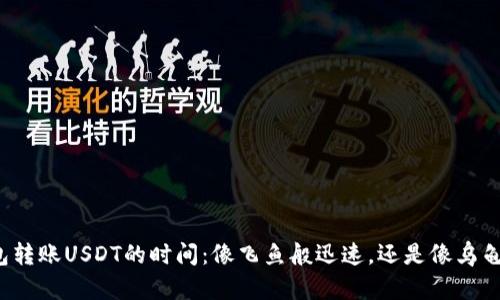 极客钱包转账USDT的时间：像飞鱼般迅速，还是像乌龟般缓慢？