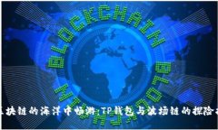 在区块链的海洋中畅游：TP钱包与波场