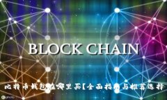 比特币钱包在哪里买？全面指南与推荐