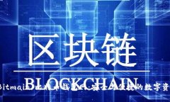 比特大陆(Bitmain)比特币钱包网：安全与