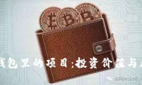 以太坊钱包里的项目：投资价值与风险分析