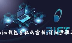 如何找回Tokenim钱包手机的密钥：详细