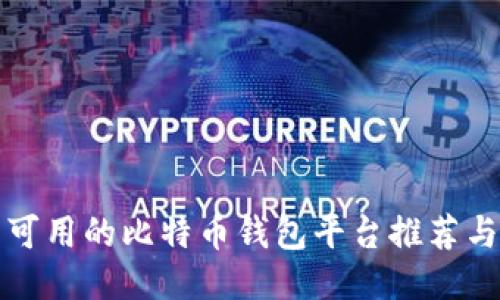 国内可用的比特币钱包平台推荐与评测