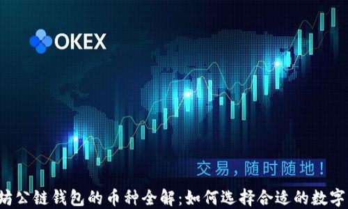 
以太坊公链钱包的币种全解：如何选择合适的数字资产？