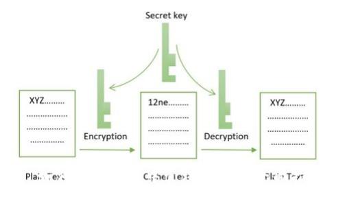 : 如何在TP钱包中管理ARK币：全面指南