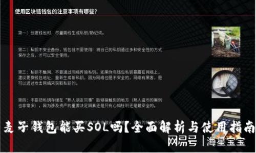 麦子钱包能买SOL吗？全面解析与使用指南