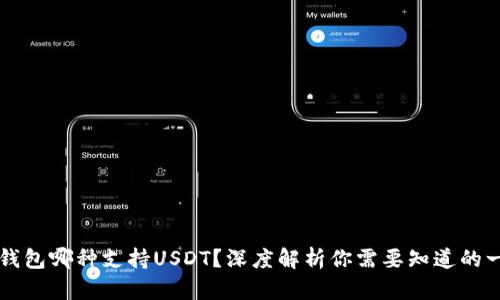 热钱包哪种支持USDT？深度解析你需要知道的一切