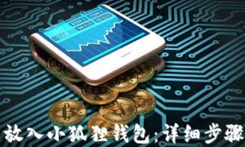 
如何将屎币放入小狐狸钱包：详细步骤与实用指南