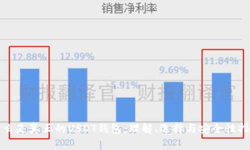 什么是真正的USDT钱包：理解、选择与安全性指南