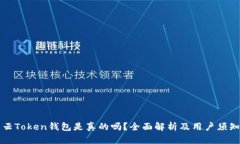 云Token钱包是真的吗？全面解析及用户