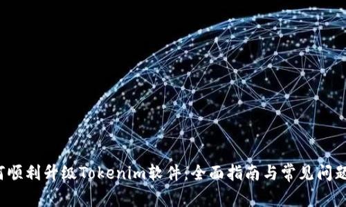  如何顺利升级Tokenim软件：全面指南与常见问题解析