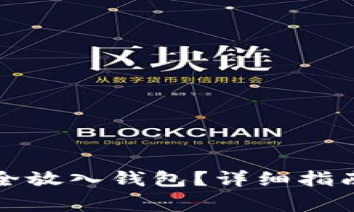 如何将艾达币安全放入钱包？详细指南与常见问题解析