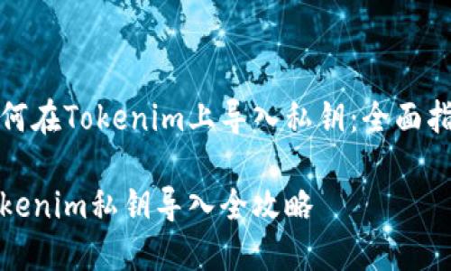 如何在Tokenim上导入私钥：全面指南

Tokenim私钥导入全攻略