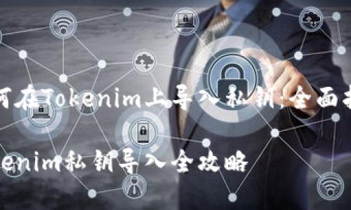 如何在Tokenim上导入私钥：全面指南

Tokenim私钥导入全攻略