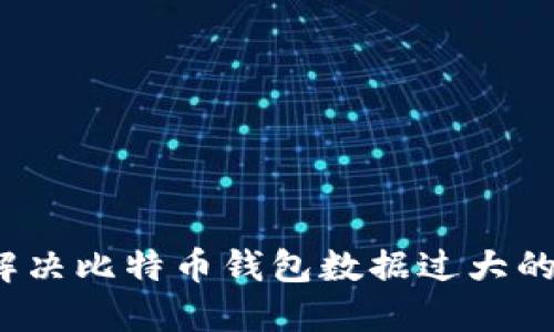 如何解决比特币钱包数据过大的问题？