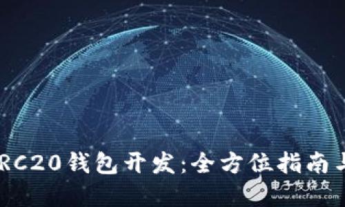 : USDT ERC20钱包开发：全方位指南与实施策略