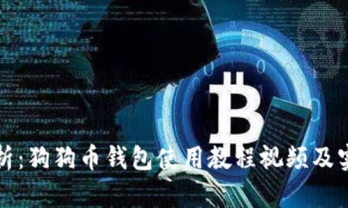 全面解析：狗狗币钱包使用教程视频及实用技巧