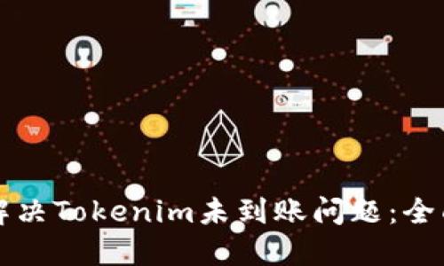 如何解决Tokenim未到账问题：全面指南