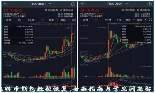 
比特币钱包数据恢复：全面指南与常见问题解答