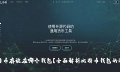 比特币存放在哪个钱包？全面解析比特