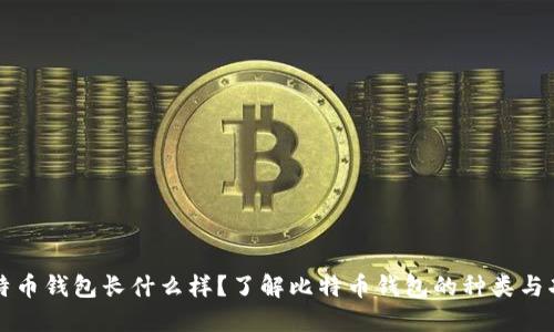 比特币钱包长什么样？了解比特币钱包的种类与功能