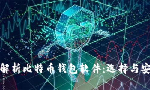 全面解析比特币钱包软件：选择与安全性