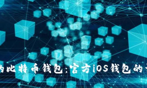 如何选择适合的比特币钱包：官方iOS钱包的详细评测与指南